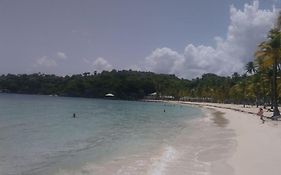 Bois Jolan, Sainte Anne.